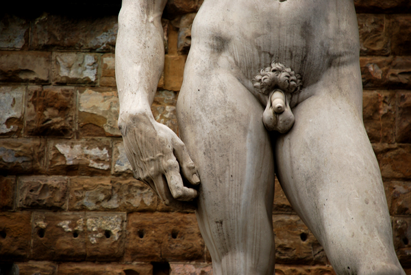 Bi 358 penis