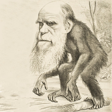 Darwins evolutionsteori