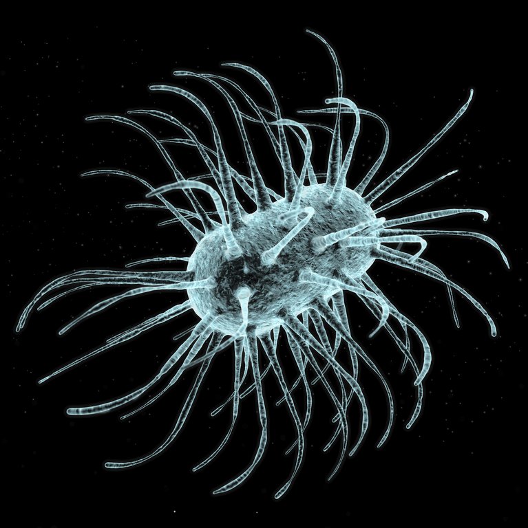 Biologi Nationella Prov åk 9