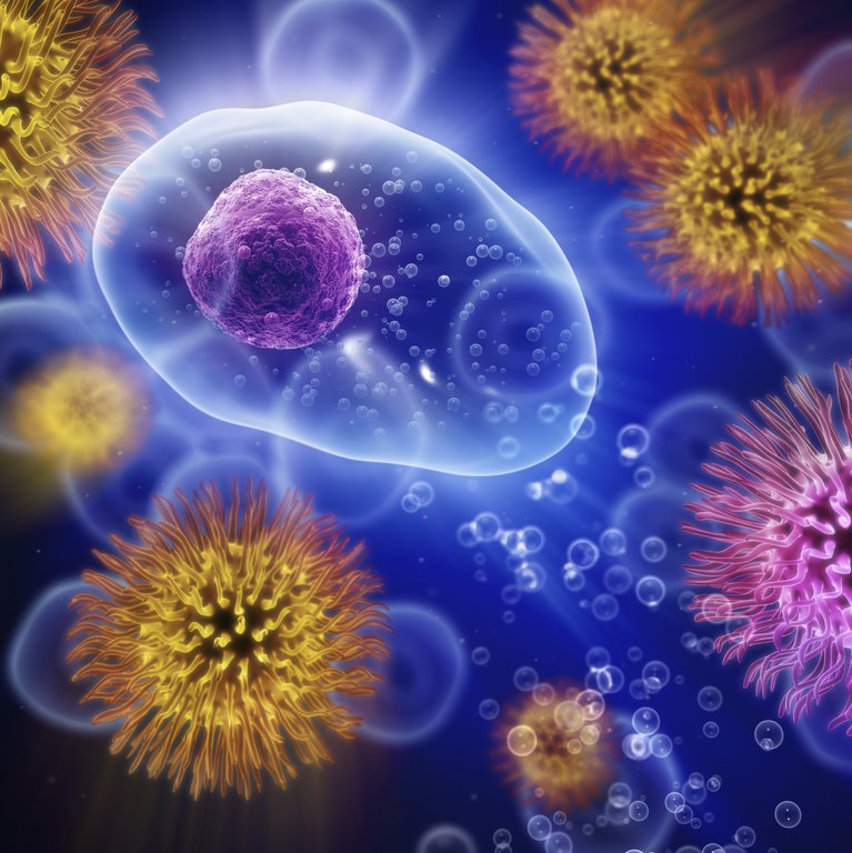 Biologi Nationella Prov åk 9