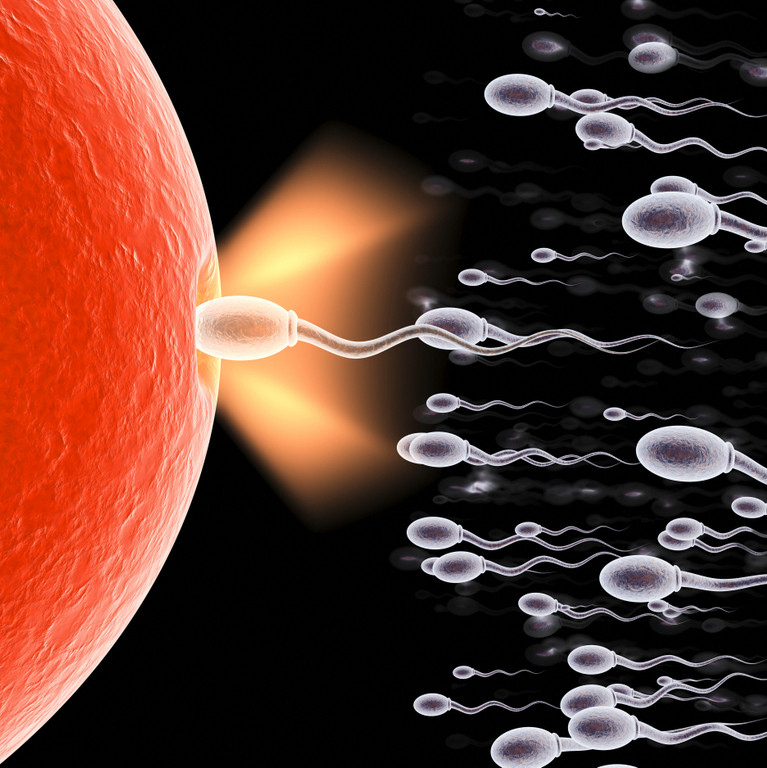 Biologi Nationella Prov åk 9