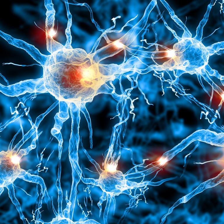 Biologi Nationella Prov åk 9
