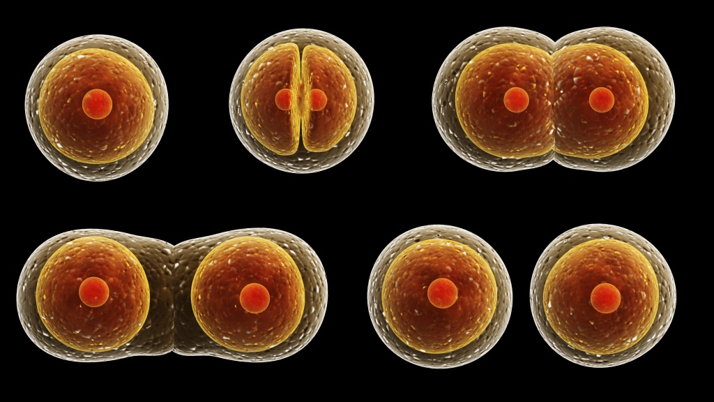 Biologi Nationella Prov åk 9